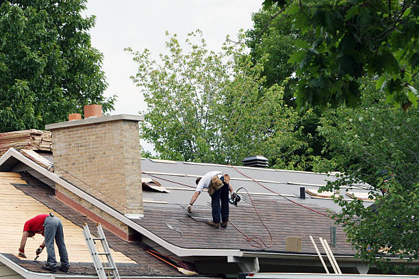 Best Roof Maintenance Services  in Mayflower, AR
